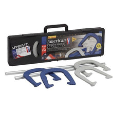 Load image into Gallery viewer, American Professional Outfit Horseshoes